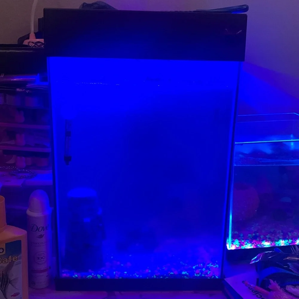 Fish aquarium